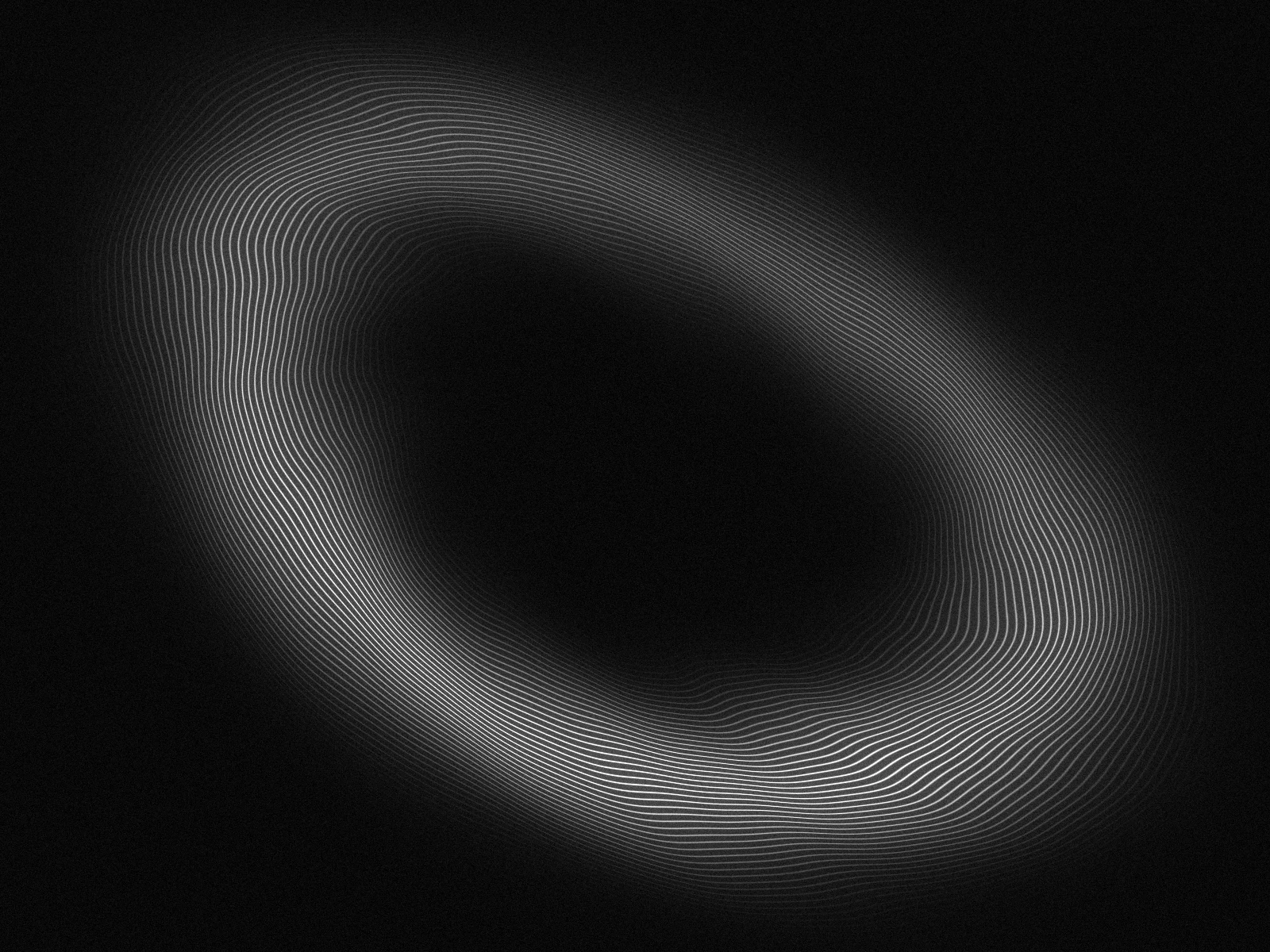 An original monochrome signal study: fine, grainy lines loop and ripple through a dark field.